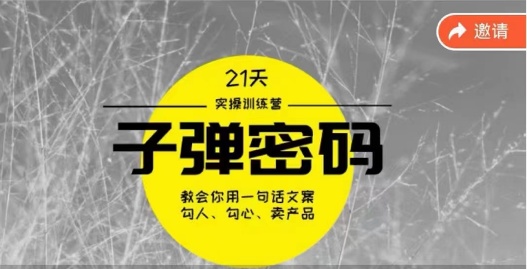 《子弹密码训练营》用一句话文案勾人勾心卖产品，21 天学到顶尖文案大师策略和技巧