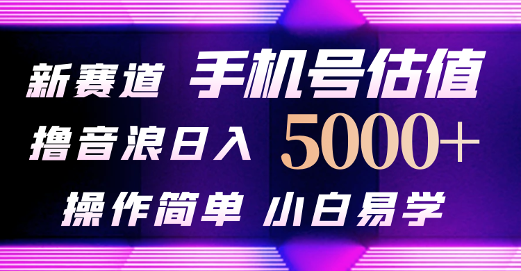 抖音不出境直播【手机号估值】最新撸音浪，日增 5000，简单易学，适合…