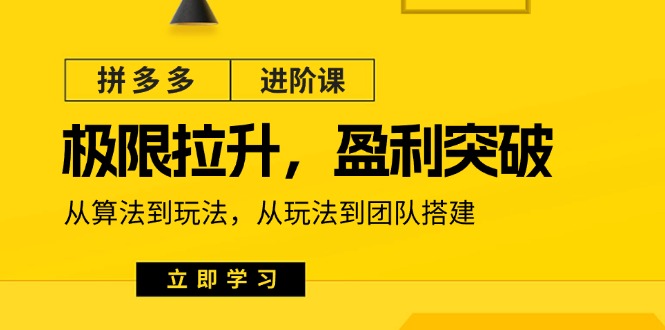 拼多多·进阶课：极限拉升 / 盈利突破：从算法到玩法从玩法到团队搭建 18 节